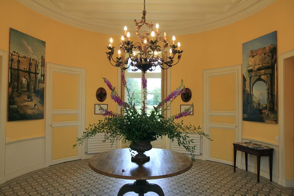 Chateau De La Marronniere Bed & Breakfast Aizenay Bagian luar foto